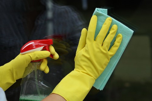 Professional pet stain odour removal in a Mill Hill living room