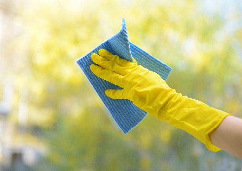 Professional carpet cleaning in a Mill Hill home interior