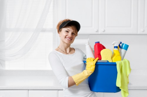 Accessible Mill Hill Carpet Cleaners website statement introduction
