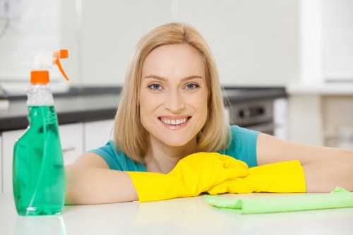 Deep cleaning a fabric sofa with specialist equipment in Mill Hill