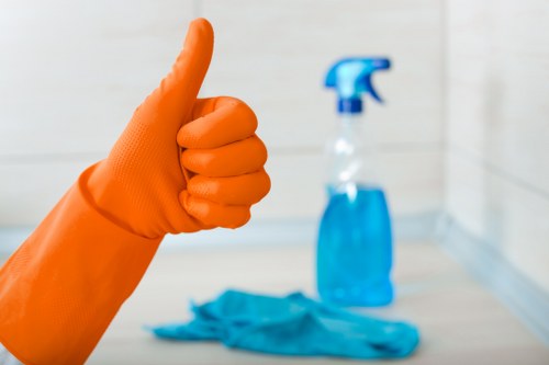 Analytics chart showing website performance monitoring for carpet cleaning site