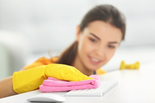 Professional carpet cleaner handling service conditions and liability documentation