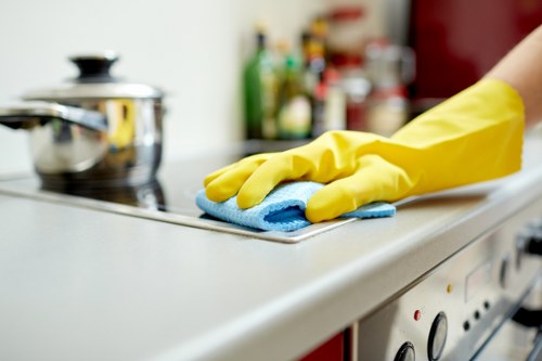 Professional cleaning for delicate fabrics in Mill Hill