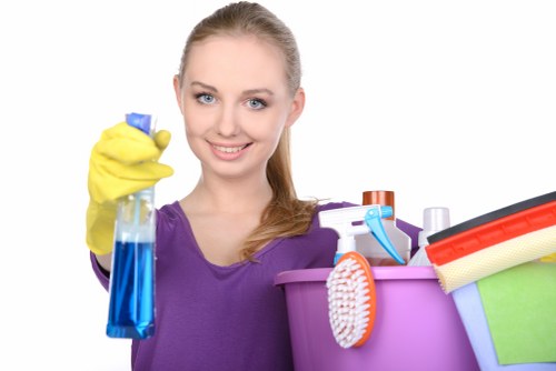 Free quote policy for carpet cleaning in Mill Hill