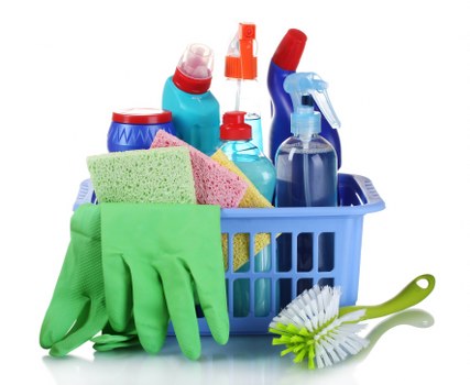Technician completing a carpet cleaning risk assessment
